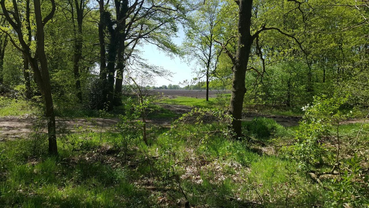 Willa Chalet Drenthe Schoonloo Zewnętrze zdjęcie