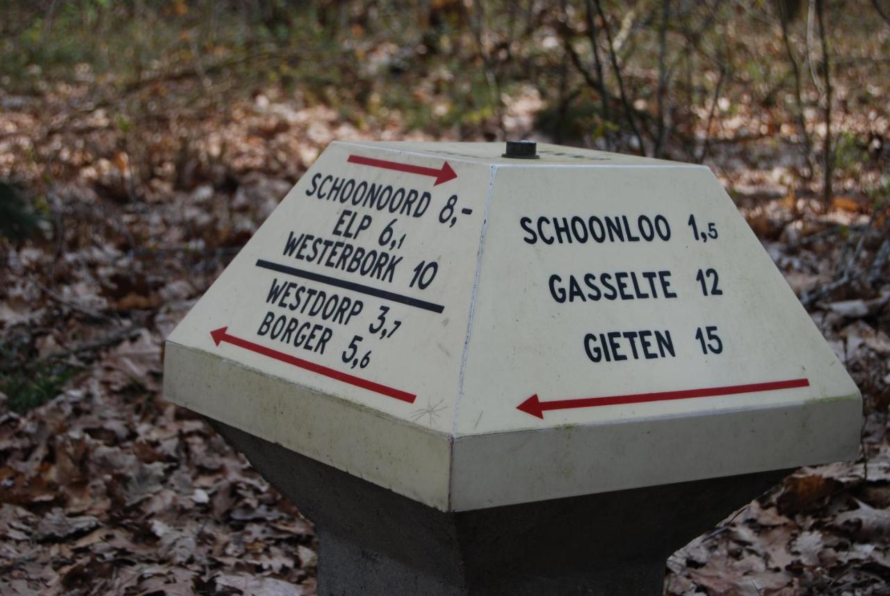 Willa Chalet Drenthe Schoonloo Zewnętrze zdjęcie