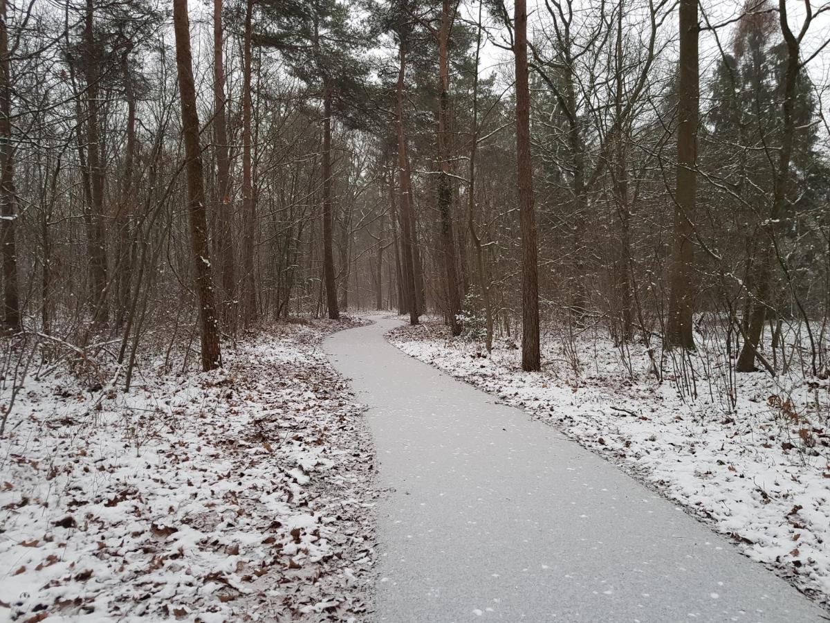 Willa Chalet Drenthe Schoonloo Zewnętrze zdjęcie